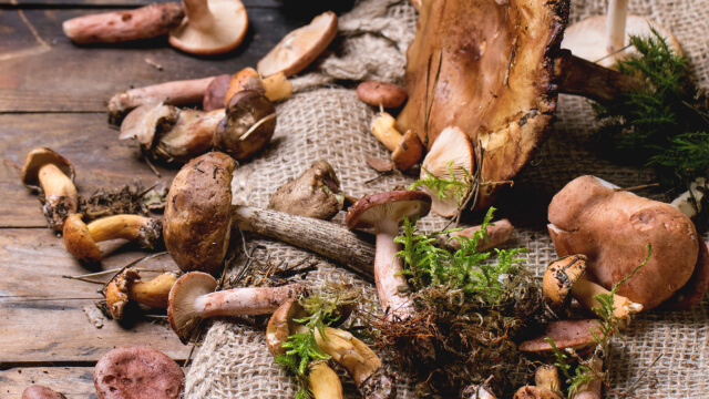 Alimentos que reforçam o sistema imunitário: cogumelos