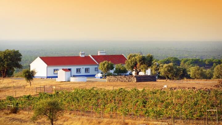 Turismo rural - As melhores regiões para visitar | Santander