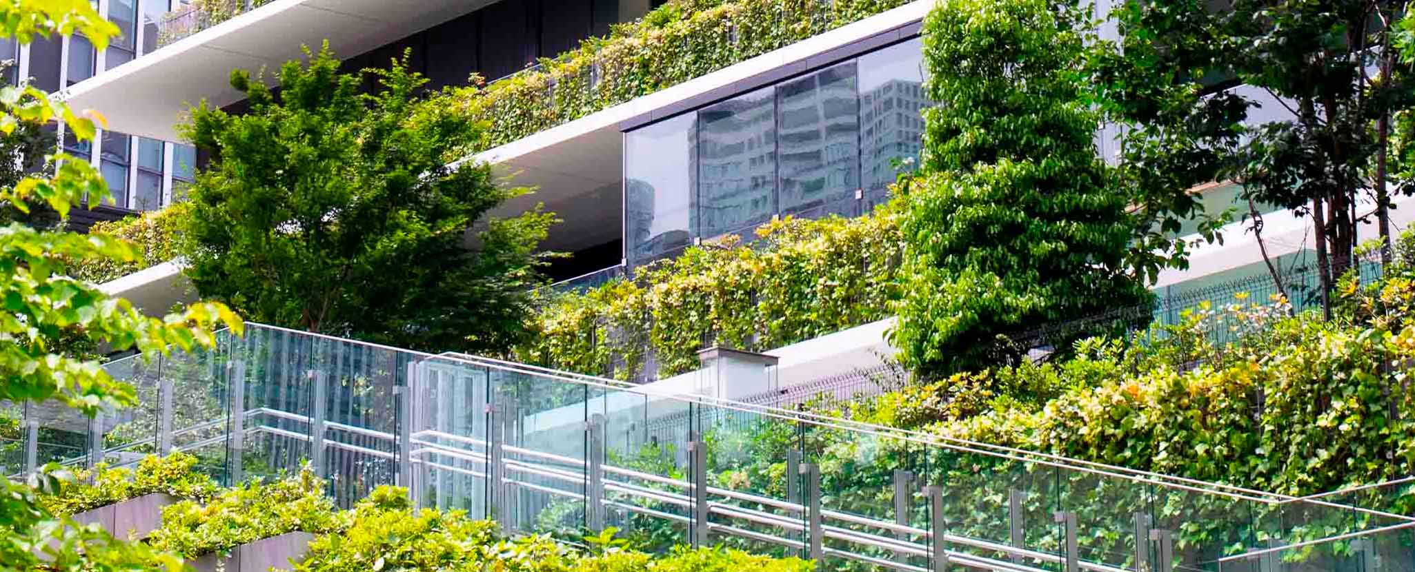 Linha BEI LRS – Mid Caps