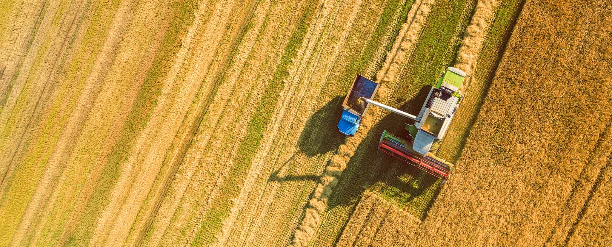 Linha Tesouraria PDR2020 - Investimento