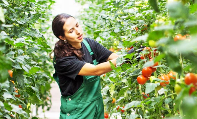 Linha de Crédito FEI AGRI