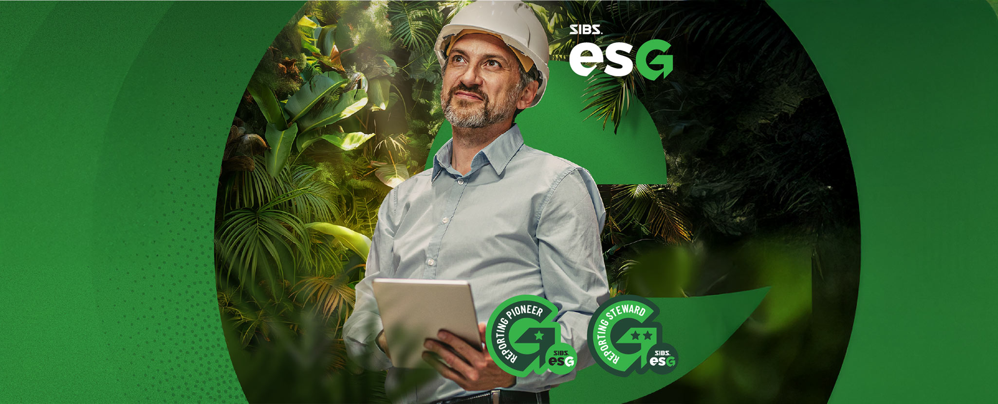 imagem alusiva a SIBS ESG