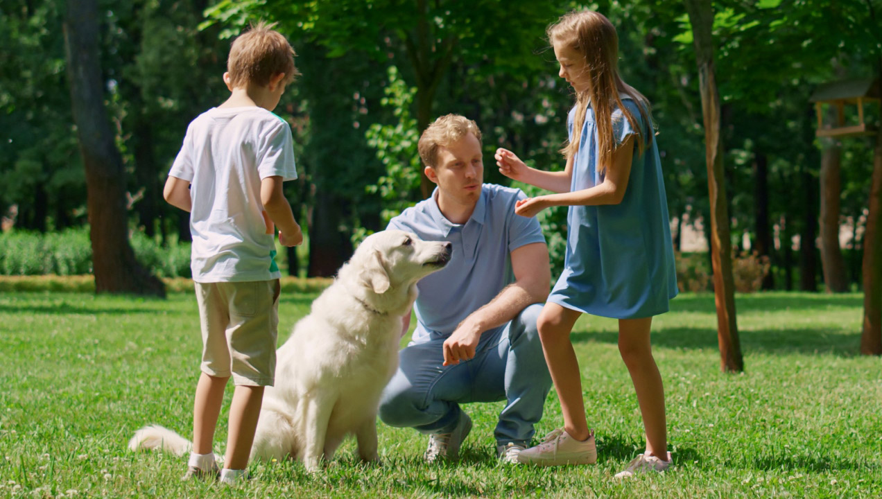 Duas crianças a brincarem ao ar livre com o pai e o cão