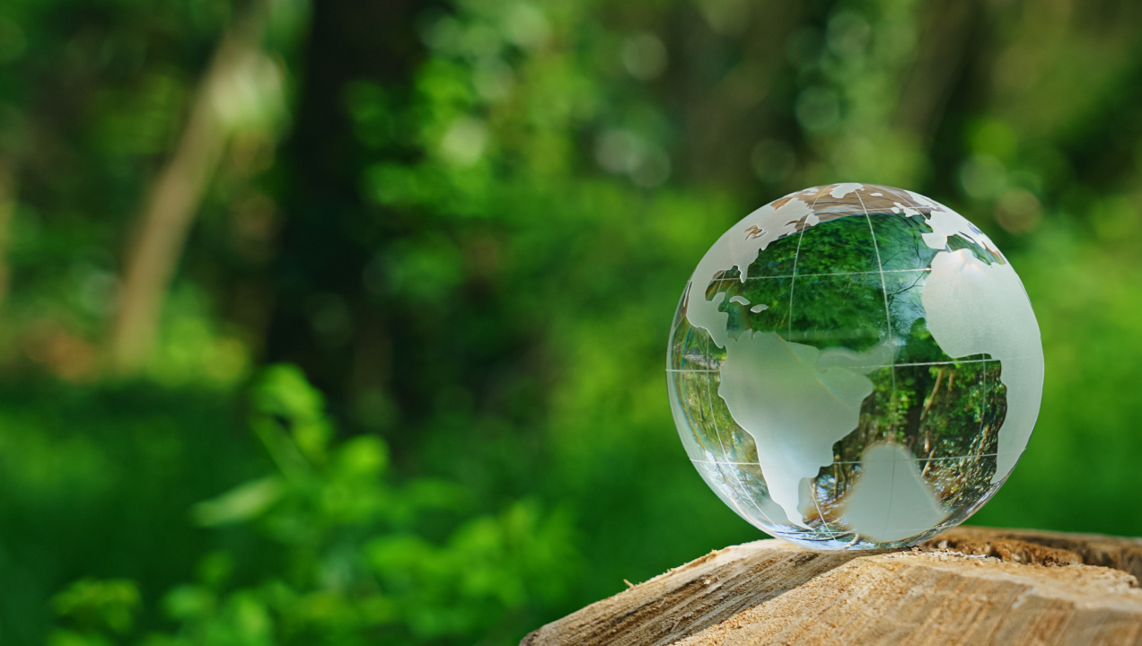 Globo de vidro apoiado num tronco de árvore, com fundo de uma floresta