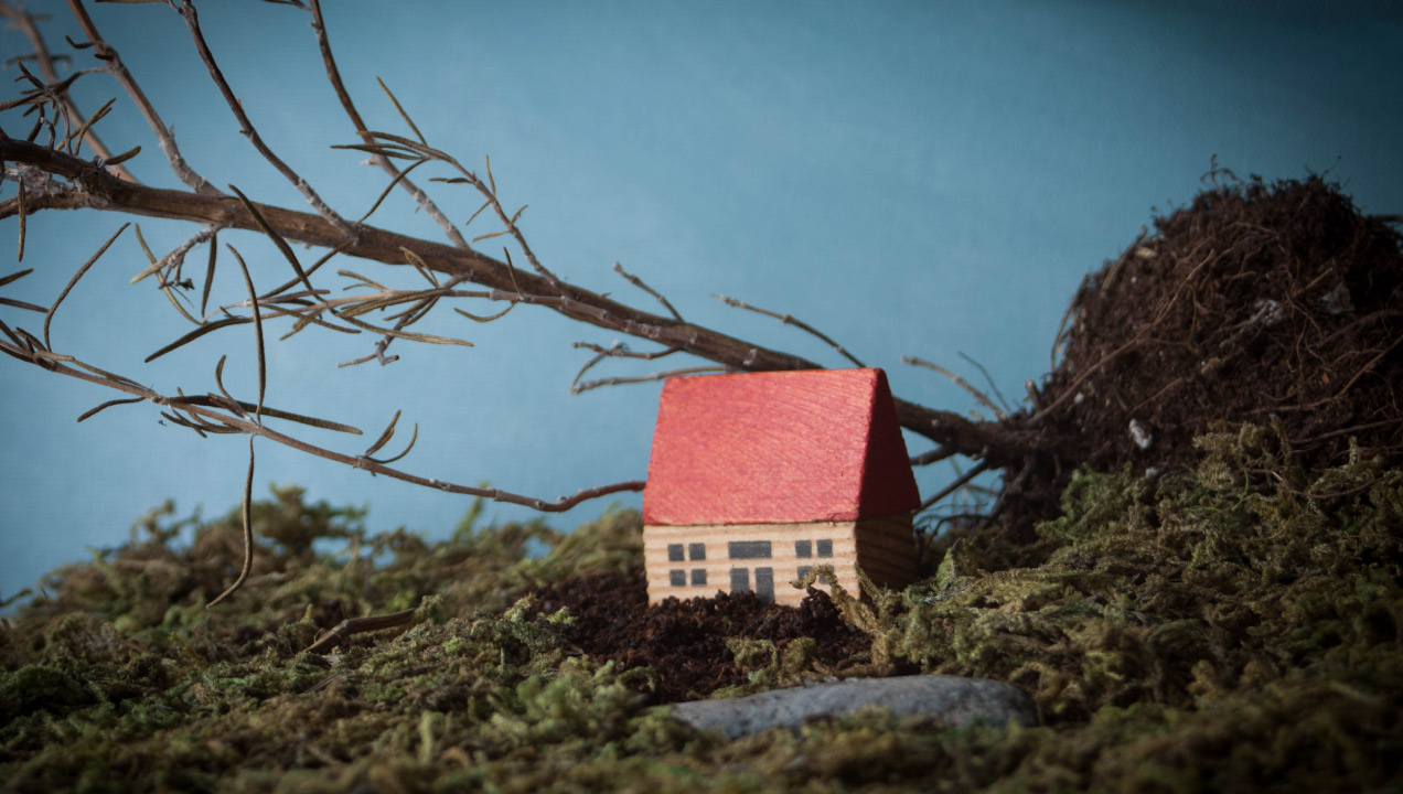 Casa de brincar a ser atingida por árvore devido a temporal