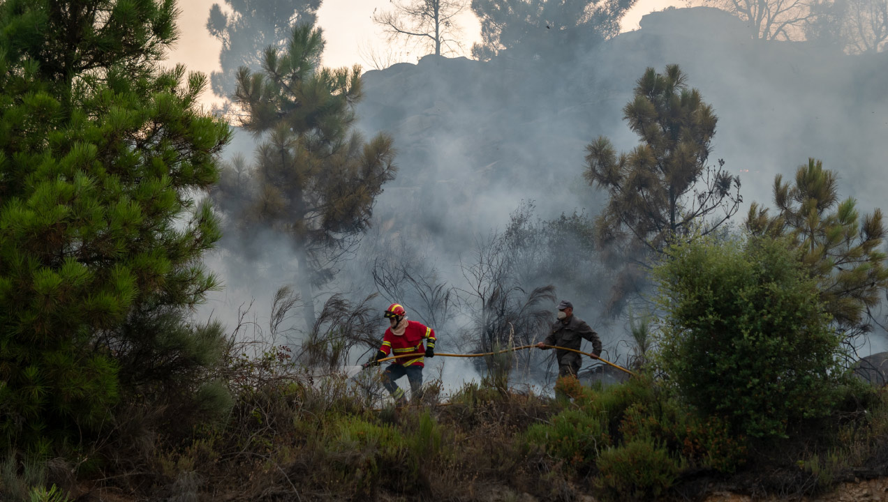 bombeiros no combate ao fogo florestal