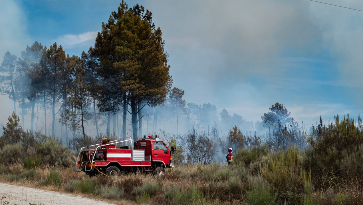 bombeiros no combate ao fogo florestal