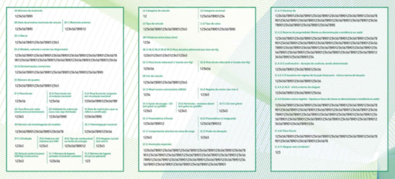 Imagem do documento único automóvel
