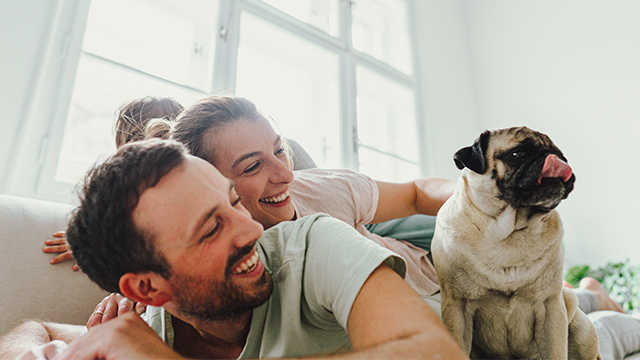 Cães de porte pequeno para apartamento