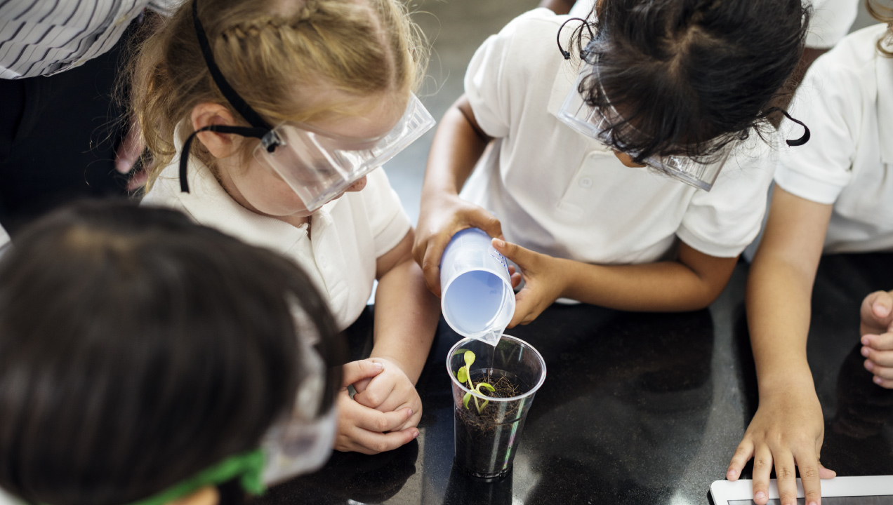 Crianças a regar um copo com pé de feijão