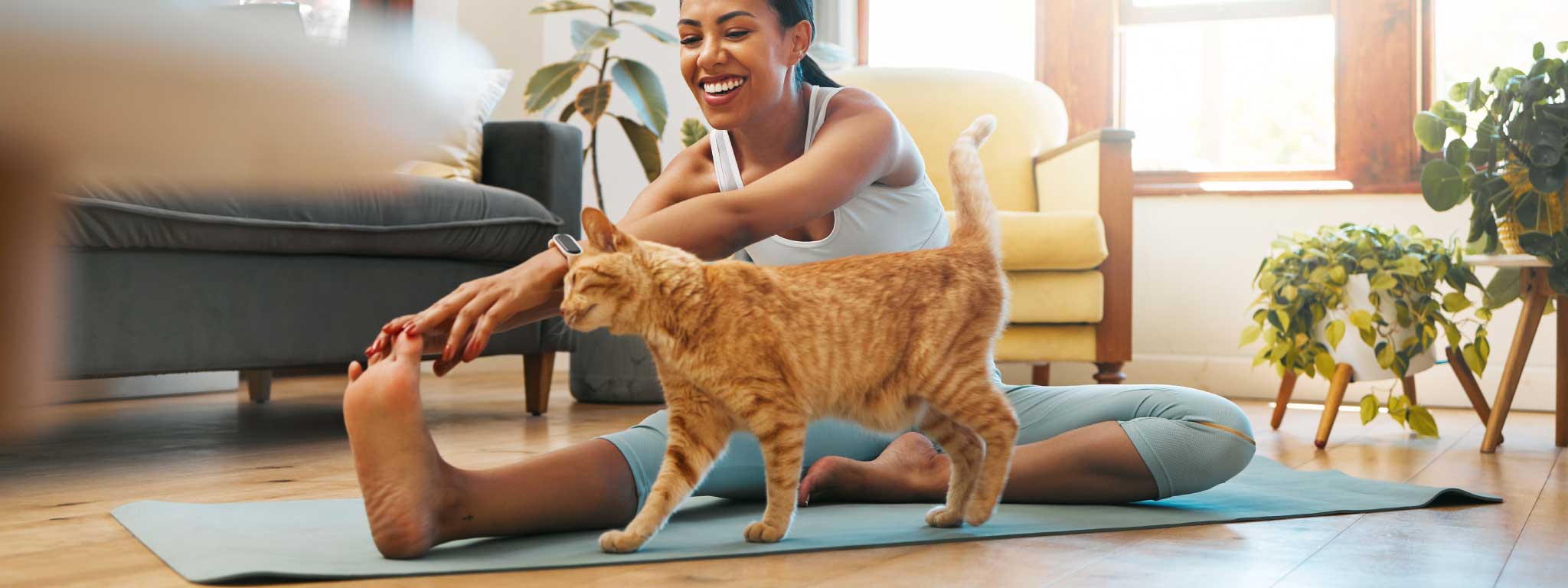 senhora a fazer alongamentos com gato ao lado