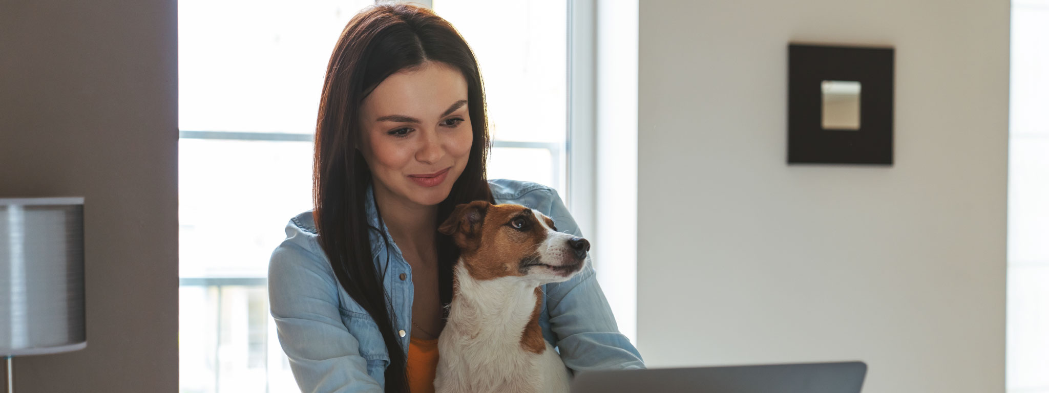  mulher com cão ao colo sentada a interagir com um laptop