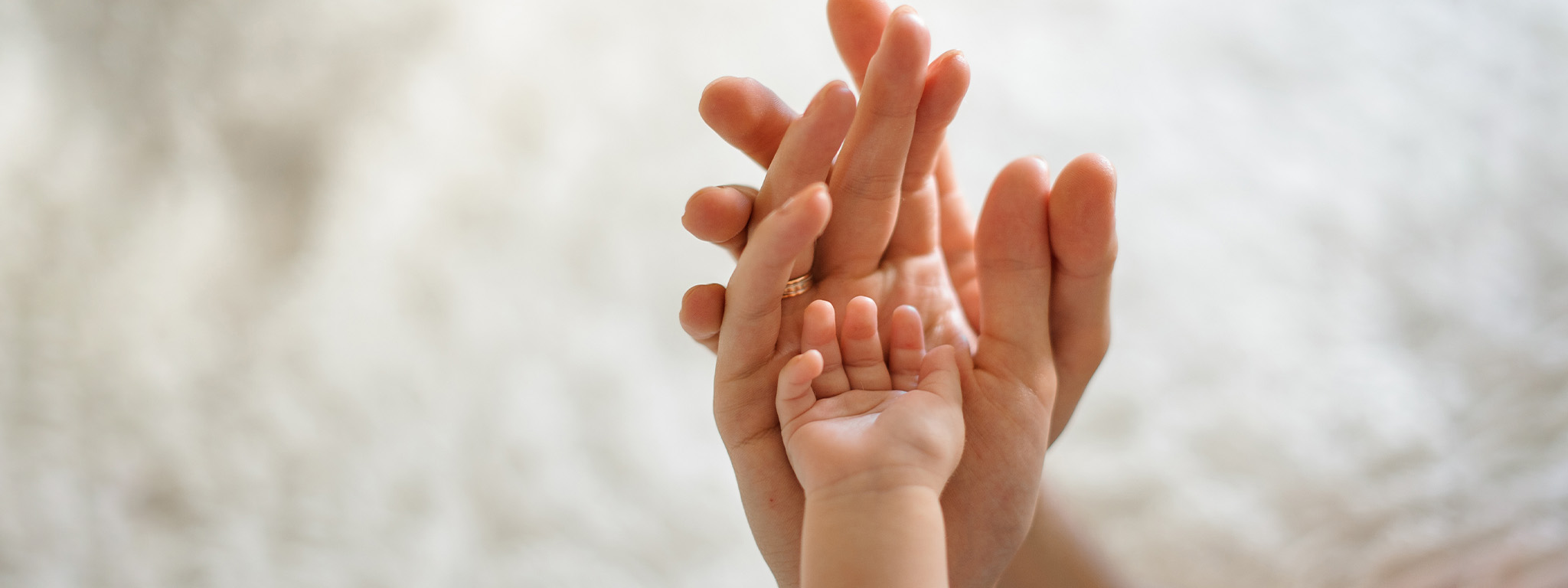 mão de adultos a segurar numa mão de bébé com fundo branco