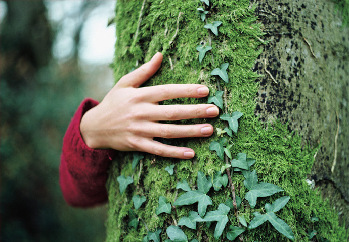  Sustentabilidade no Santander
