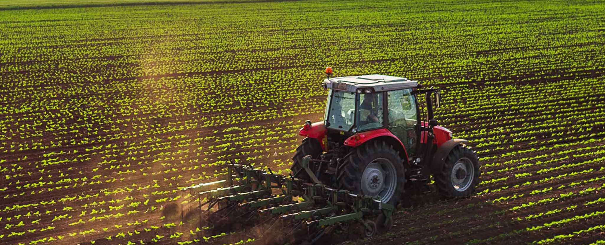 Apoio à Agricultura