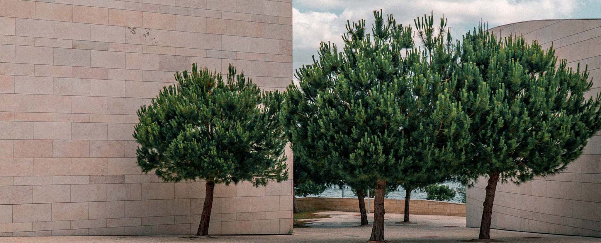 Corporate Governance PME Santander