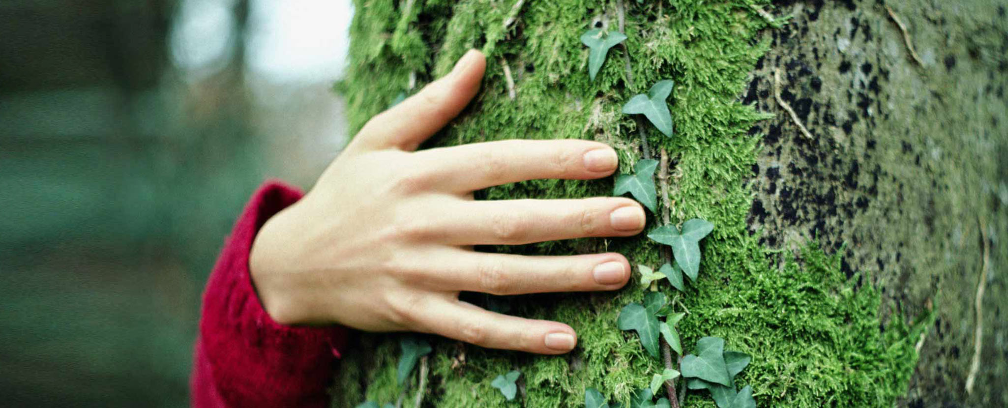 Reciclar Cartão Bancário