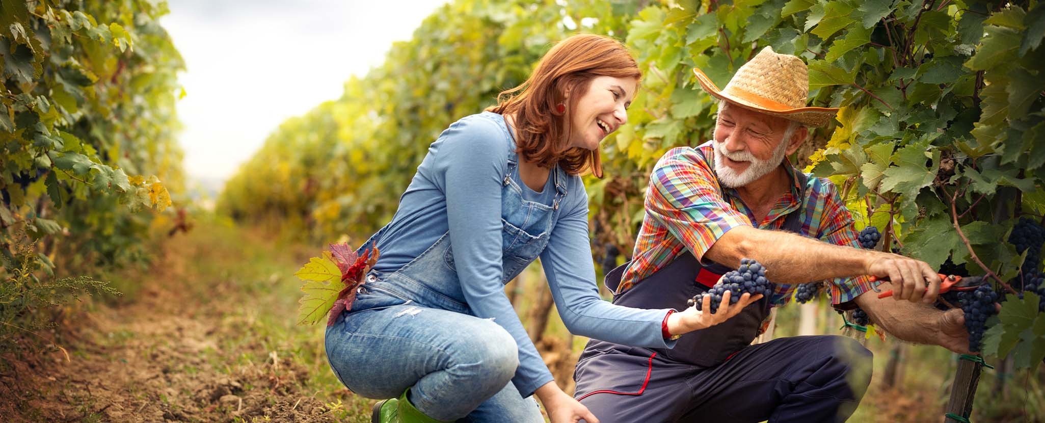 soluções de poupança e investimento Santander para a reforma