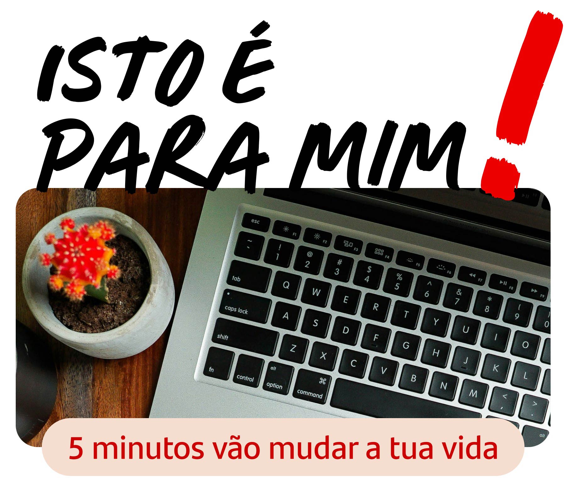 Prémios Primus Inter Pares