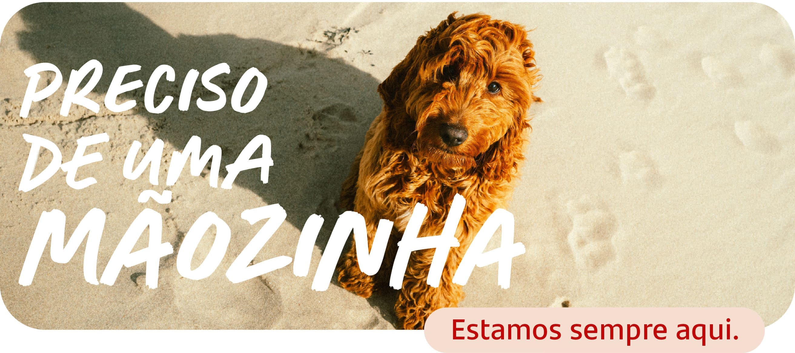 Cartões de Crédito Santander