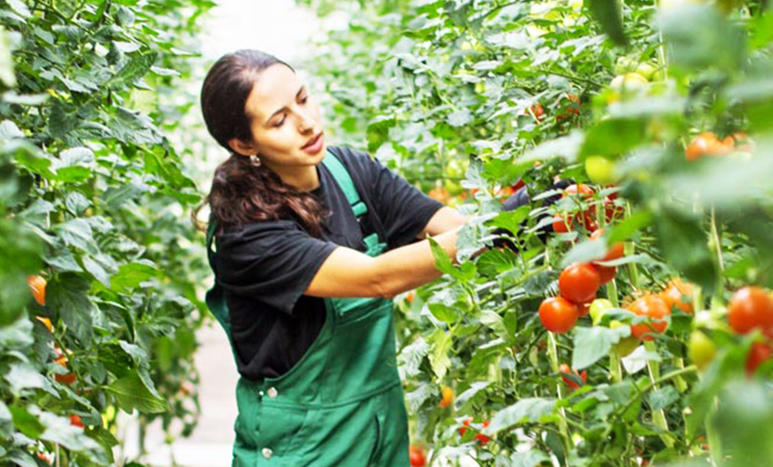  Sustentabilidade Empresas Santander
