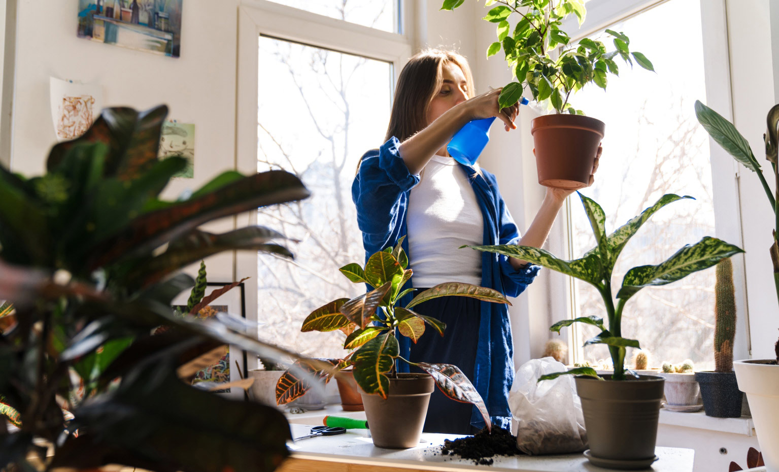 Cliente Select Santander