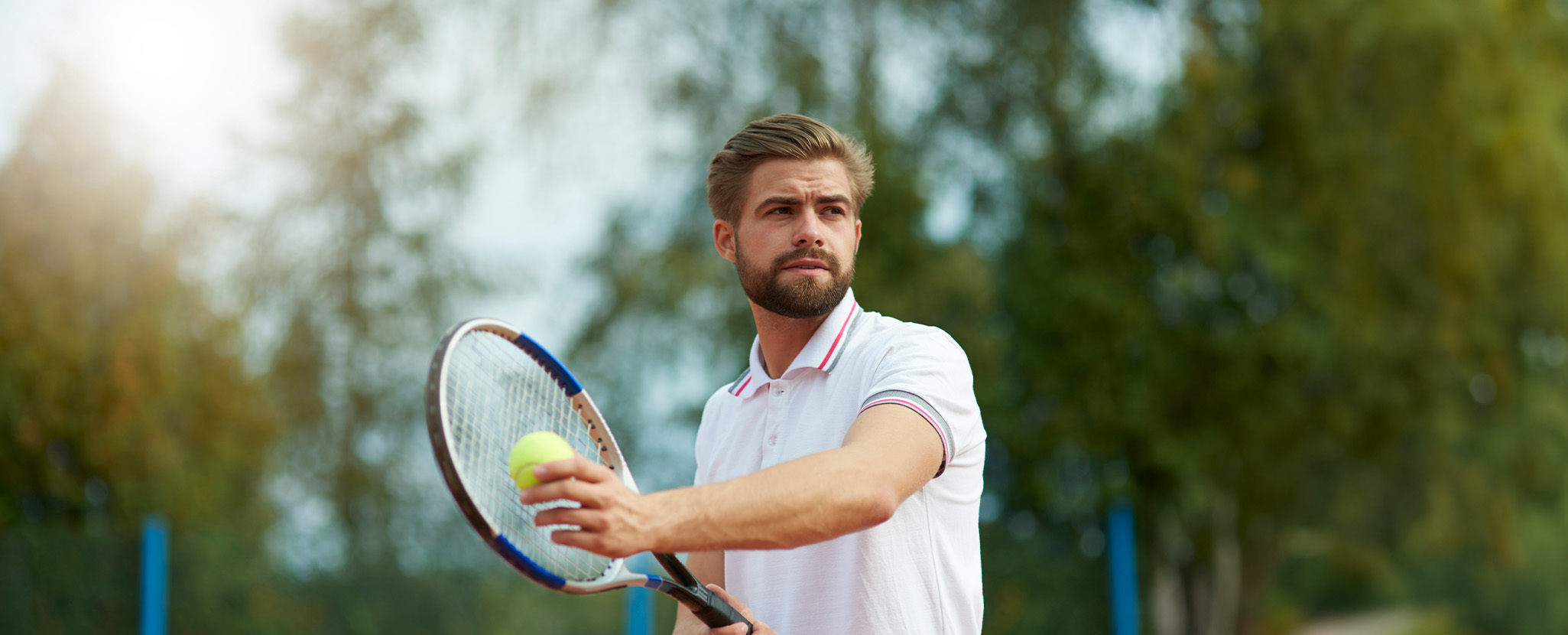 Fundo de investimento Santander Select Dinâmico