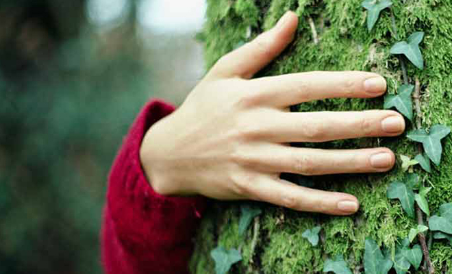 sustentabilidade de cartões - Santander